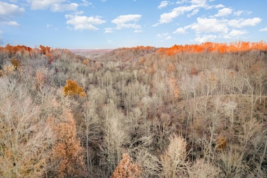 5970 Kentucky 643, Waynesburg, KY 40489 - photo 6