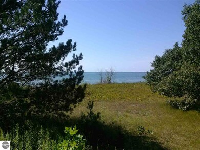 NA E Michigan Ave, Au Gres, MI 48703 - photo 6