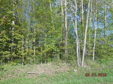 P2068 N Pole Rd, Aniwa, WI 54408 - photo 5