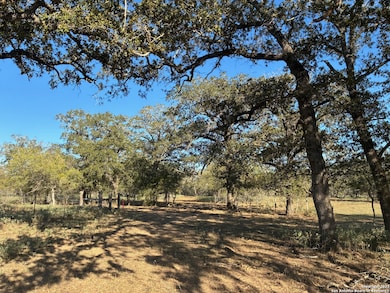 413 Batey Rd, Seguin, TX 78155 - photo 4