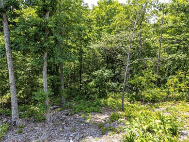 0 Carsaig Cir unit 1247601, Bella Vista, AR 72715 - photo 4