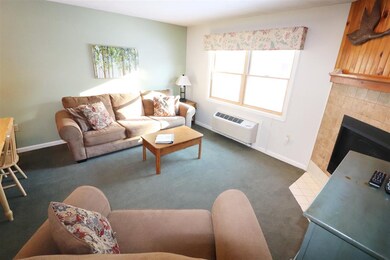 164 Deer Park Dr unit 161 B, Woodstock, NH 03262 - photo 3
