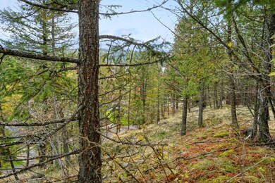 25 Ponderosa Ln, Big Fork, MT 59911 - photo 4
