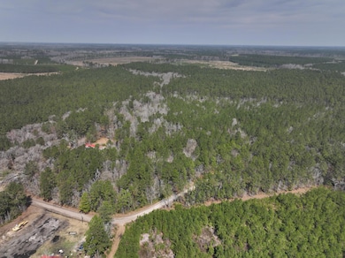 DJI_20250313124115_0012_D_400N