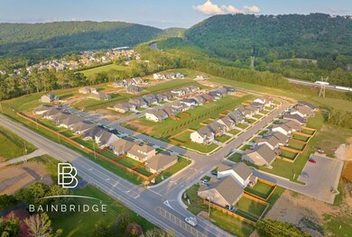 Bainbridge Community2