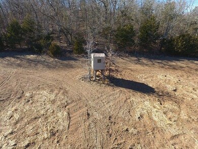 Tbd Frd 1195, Jenkins, MO 65605 - photo 6