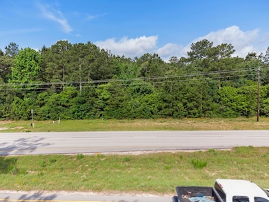 208 Fish Creek Thoroughfare, Montgomery, TX 77316 - photo 3