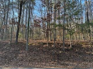 1887 Dogwood Dr, Chattanooga, TN 37406 - photo 4