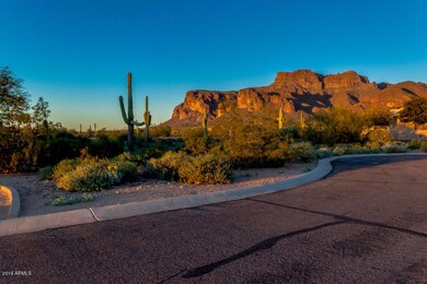Paved streets with curbs