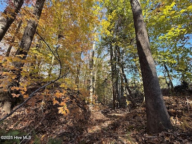 Lot 2 Russell Union Rd, Manson, NC 27553 - photo 7