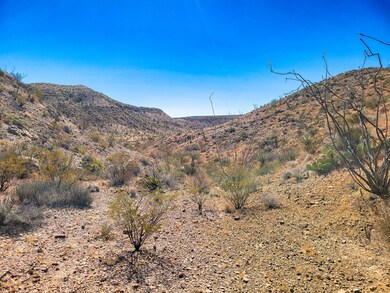 104 Tanque Caballo, Terlingua, TX 79852 - photo 6