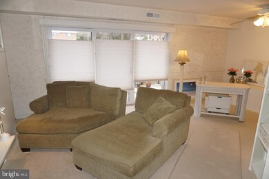 207 Erin Way unit T1, Reisterstown, MD 21136 - photo 3