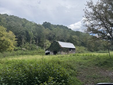 0 Hurricane Branch Ln unit RTC2988788, Gainesboro, TN 38562 - photo 5