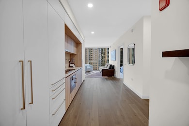 Cirrus Condominiums unit 1207, Chicago, IL 60601 - photo 3