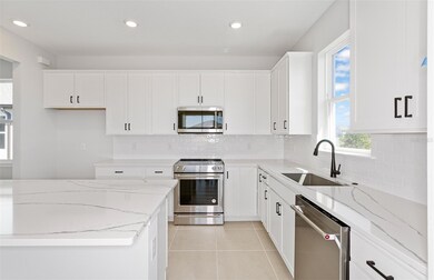Abundance Storage and Counter Space