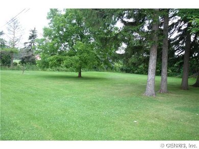 Yard/Garden