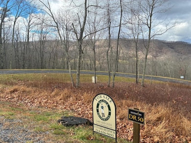 DR #50 N Forest Trail, Hot Springs, VA 24445 - photo 3