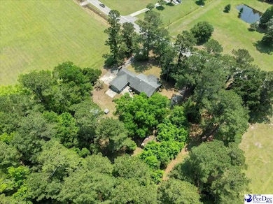 821 W Shirley Rd, Pamplico, SC 29583 - photo 6