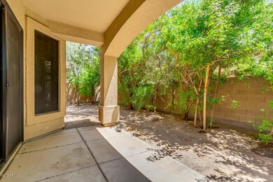Back Patio