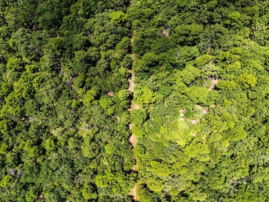 040 acers Maxwell Creek Rd, Clayton, OK 74536 - photo 4