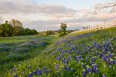 Lot 15 Winding Branch, Chappell Hill, TX 77426 - photo 4