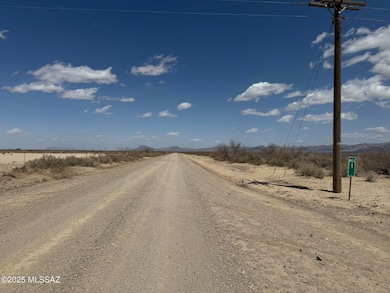 80 Acres Parker Rd, San Simon, AZ 85632 - photo 2