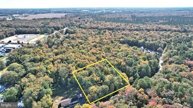 Lot 3 Molly Field Rd, Dagsboro, DE 19939 - photo 2