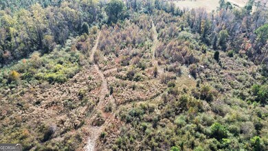 0 George Strickland Rd unit 10626764, Claxton, GA 30417 - photo 4