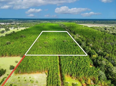 000 NW 78th Ave, Newberry, FL 32669 - photo 3