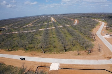 Beautiful Trees every direction