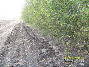 . Fm 1237, Troy, TX 76564 - photo 4