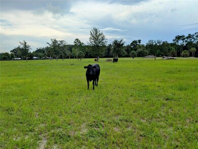 0 Peterson Rd, Pierson, FL 32180 - photo 6