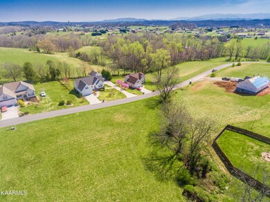 2119KingViewLoop-4
