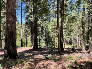 1619 Shoshone Dr, Dorrington, CA 95223 - photo 3