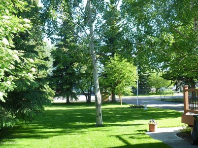 front lawn