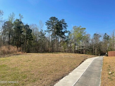 101 Saint Charles Ln, Jacksonville, NC 28546 - photo 5