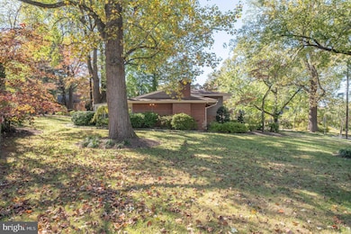 1006 Strout St, Silver Spring, MD 20901 - photo 4