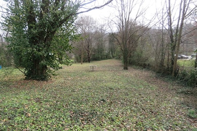 218 Celina St, Livingston, TN 38570 - photo 5