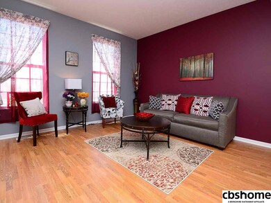 904 Summit Ridge Dr, Papillion, NE 68046 - photo 3