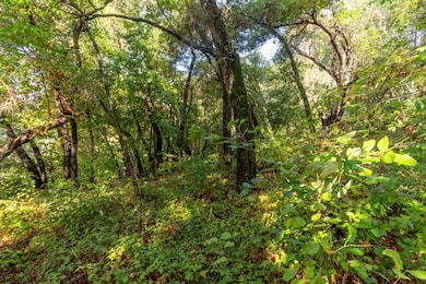 Lot 53 Lakeview Ave, Lompico, CA 95018 - photo 6