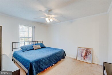 26319 Gibson Ln, Ruther Glen, VA 22546 - photo 6