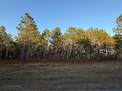 County Road 1156, Troy, AL 36079 - photo 2