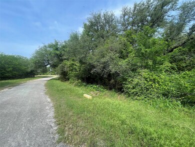 35054 Oak Forest Dr, Whitney, TX 76692 - photo 6