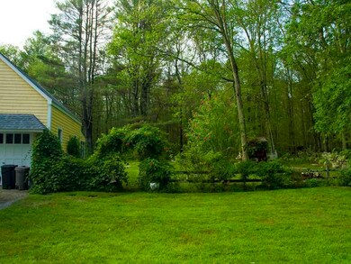 Yard/Garden.