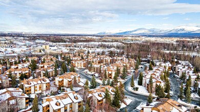 07-DJI_0232