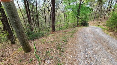 Front left of Lot 20