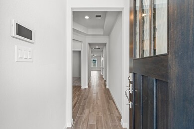 20911 Snowmane Stable Way, Tomball, TX 77377 - photo 3