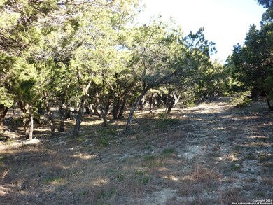 22739 Central Prairie, San Antonio, TX 78255 - photo 7