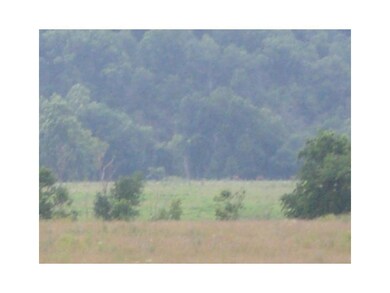 17006 Od Clark Rd, Siloam Springs, AR 72761 - photo 6