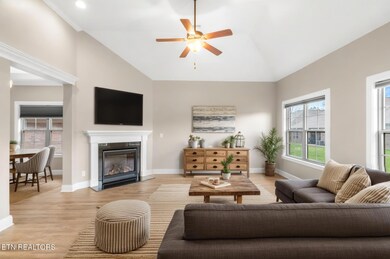 207 Zion Cove LR